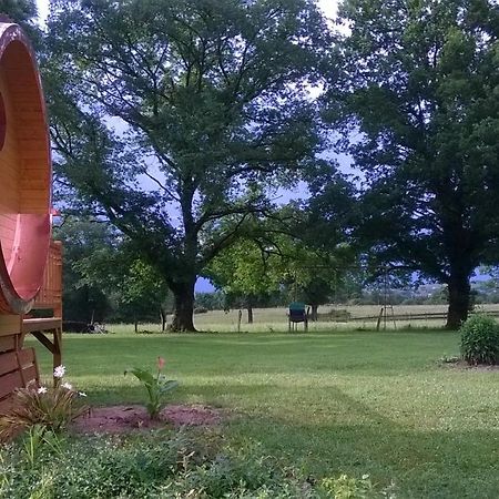 Bed and Breakfast Aux Ronzieres Pouilly-sous-Charlieu Екстер'єр фото